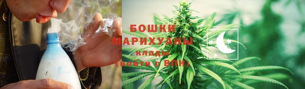 мдпв Гусь-Хрустальный