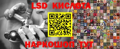 стафф Гусев