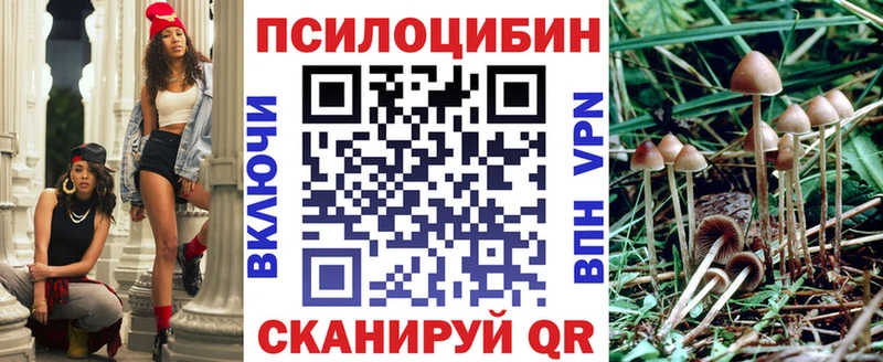 Галлюциногенные грибы Psilocybine cubensis Гуково