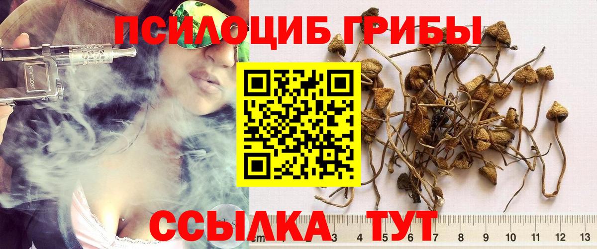 Гуково  Галлюциногенные грибы мицелий  Вход с VPN  Галлюциногенные грибы Psilocybine cubensis 